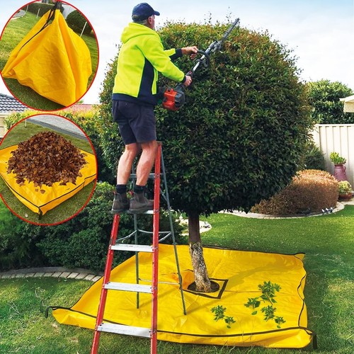 10x10ft landscape trimming - 10x10ft,
